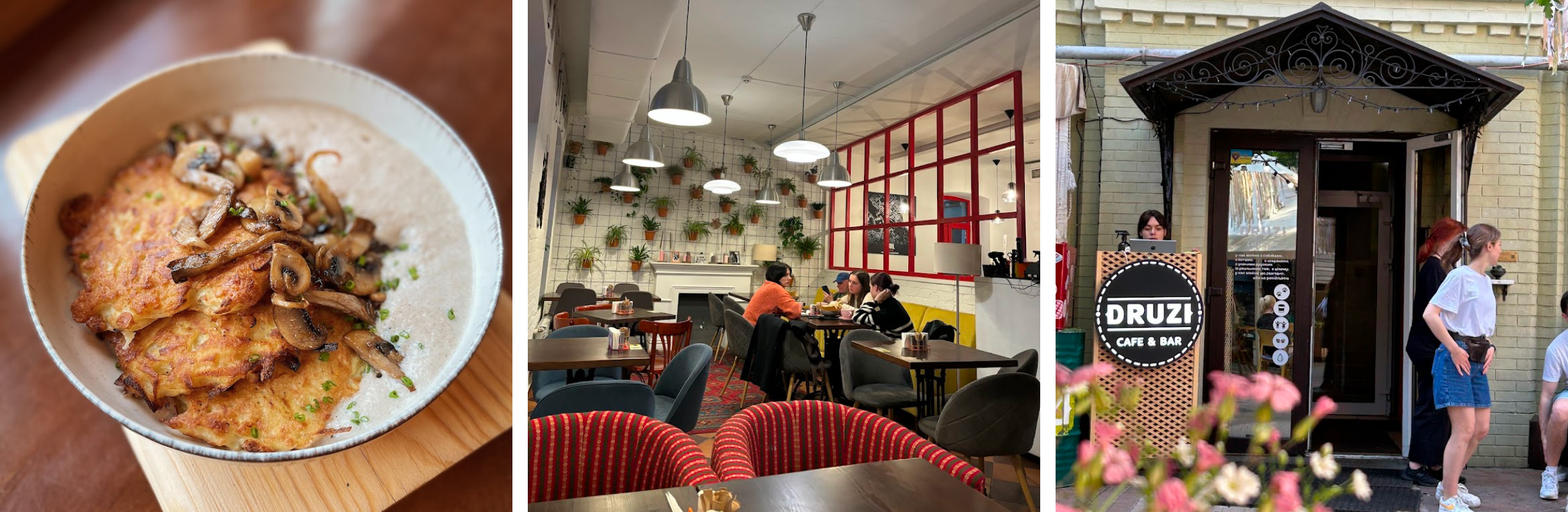 Druzi Cafe