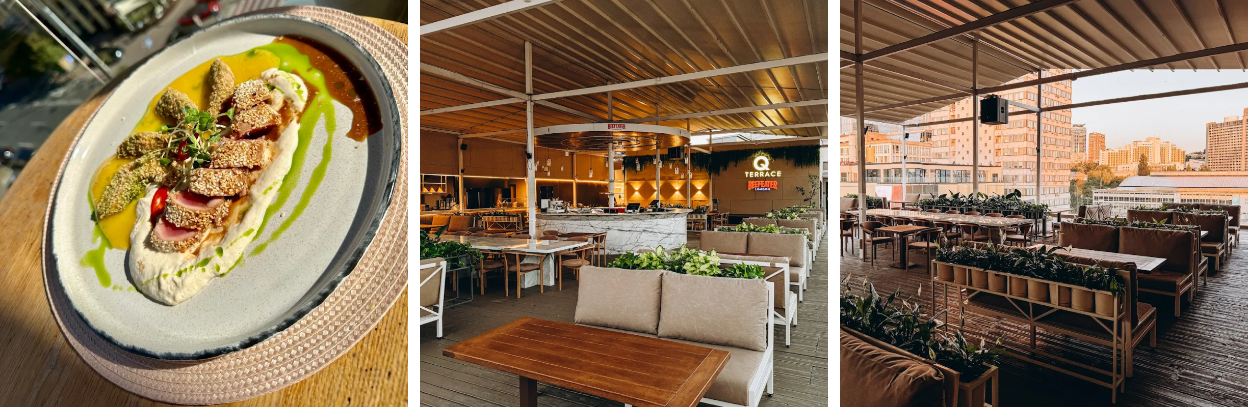 Q TERRACE