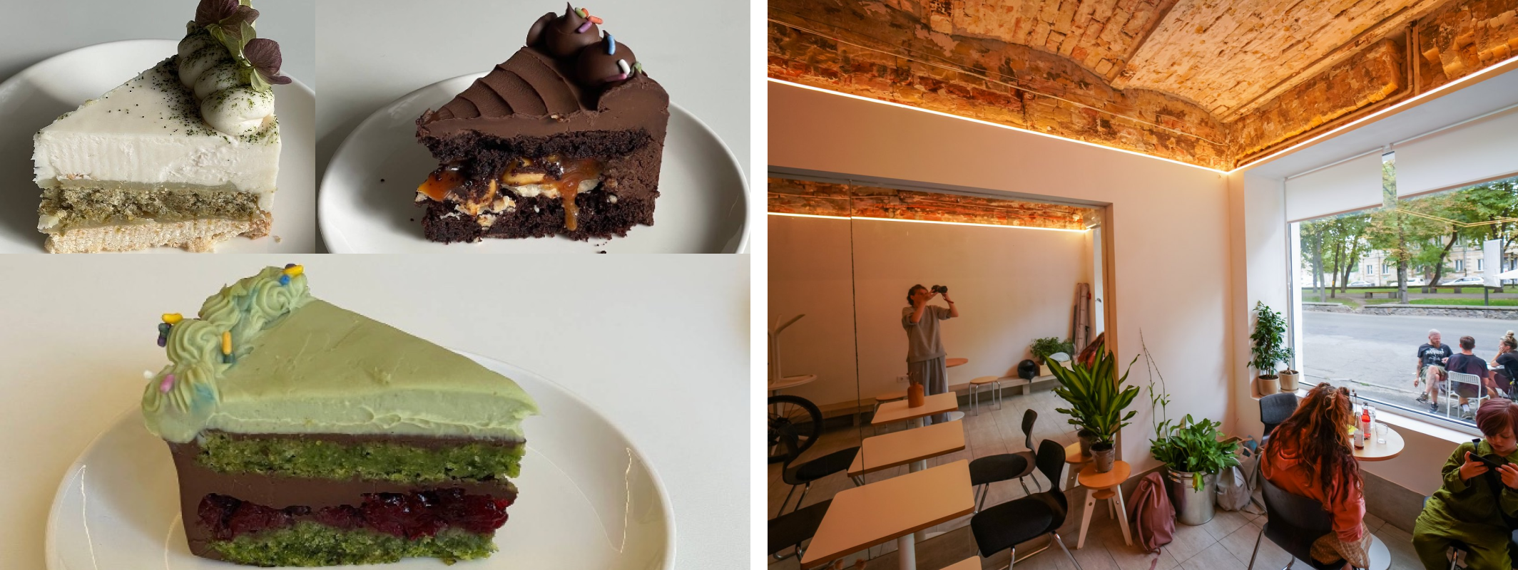 Sereda Vegan Point
